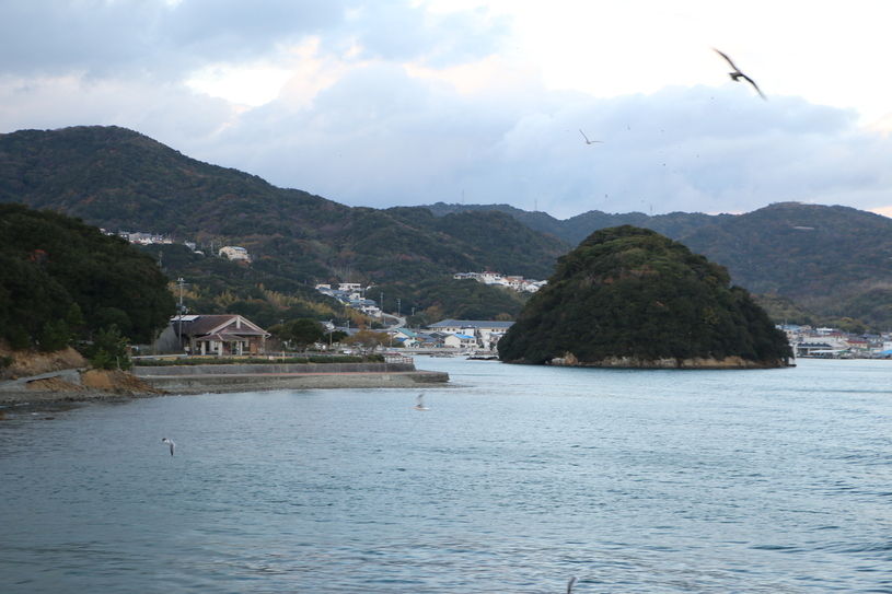 画像1