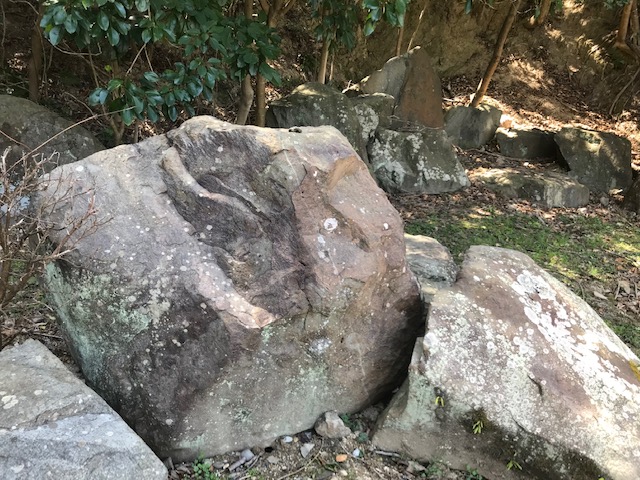 画像2