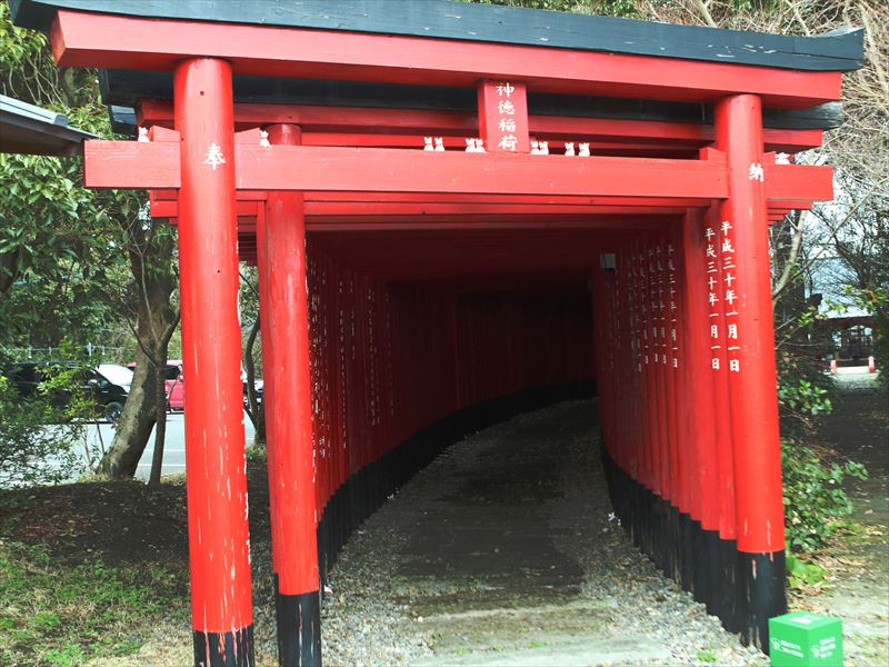 画像3