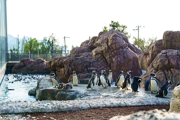 【遊】上越市立水族博物館・うみがたり