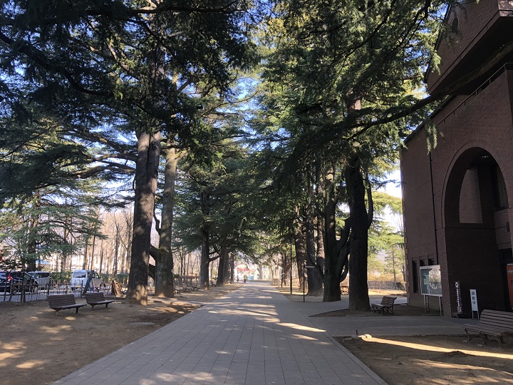 画像2