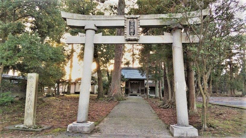 画像4