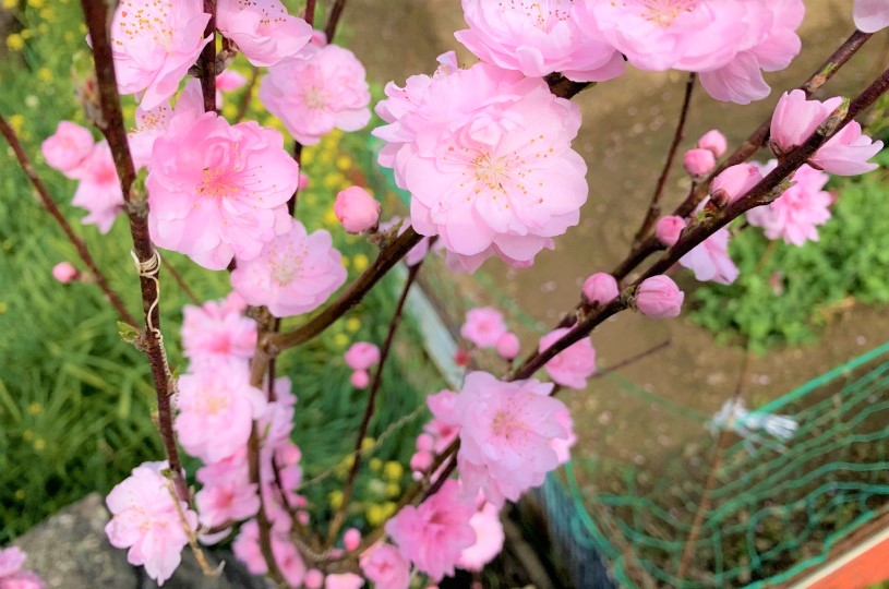 画像5