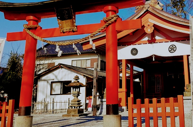画像1