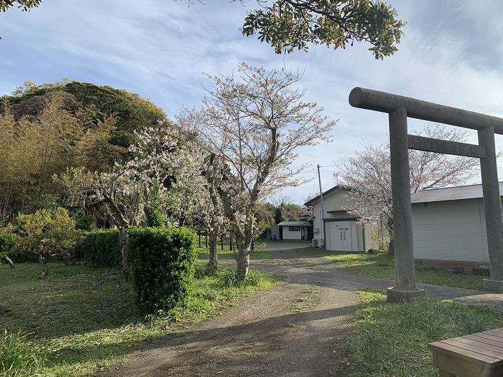 画像2