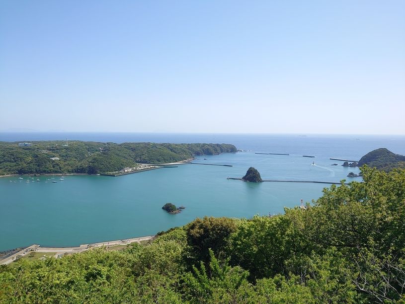 画像5