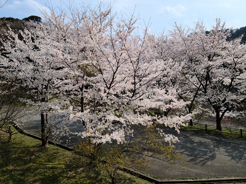 画像4