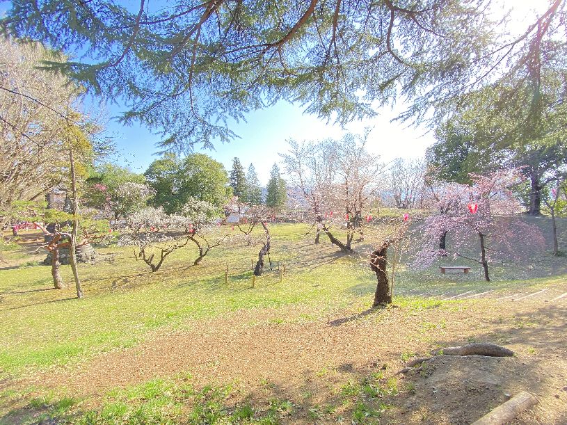 画像4