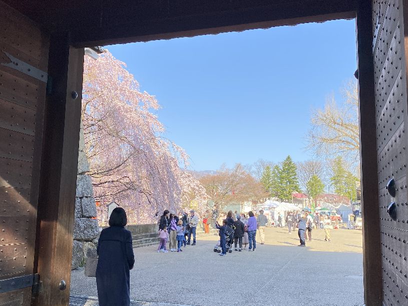 画像4