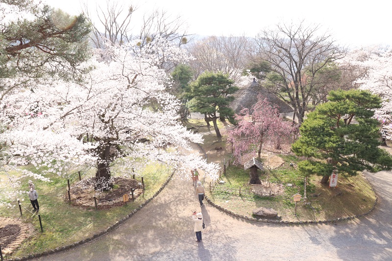画像2