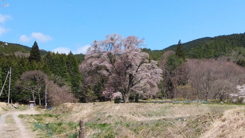画像1