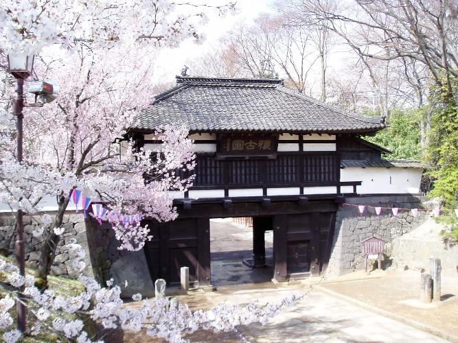 画像4