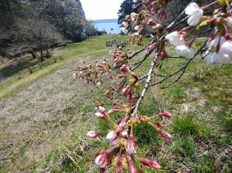 画像2