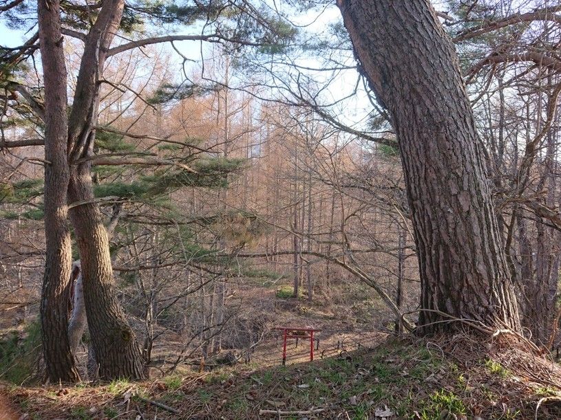 画像2
