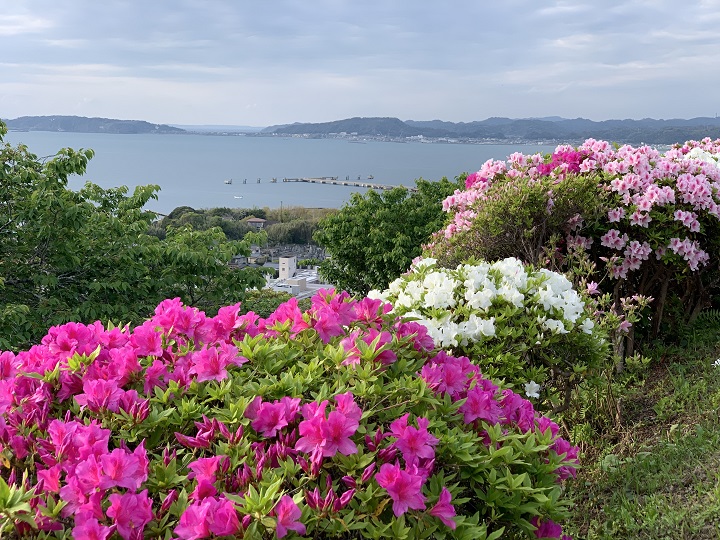 画像2