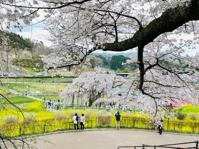 画像2