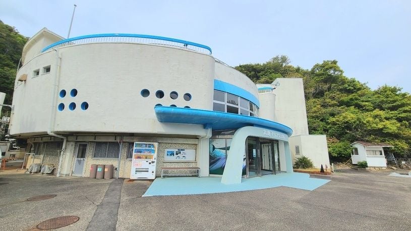 画像1