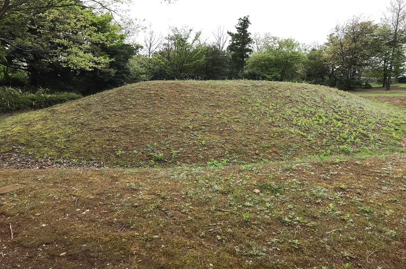 画像5