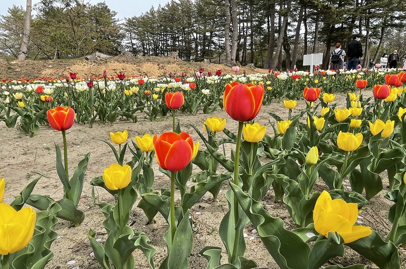 画像2