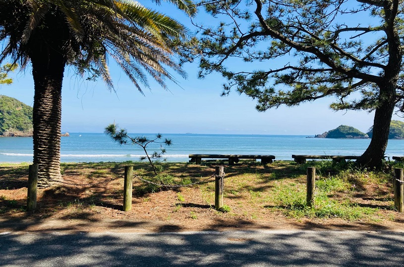 画像1