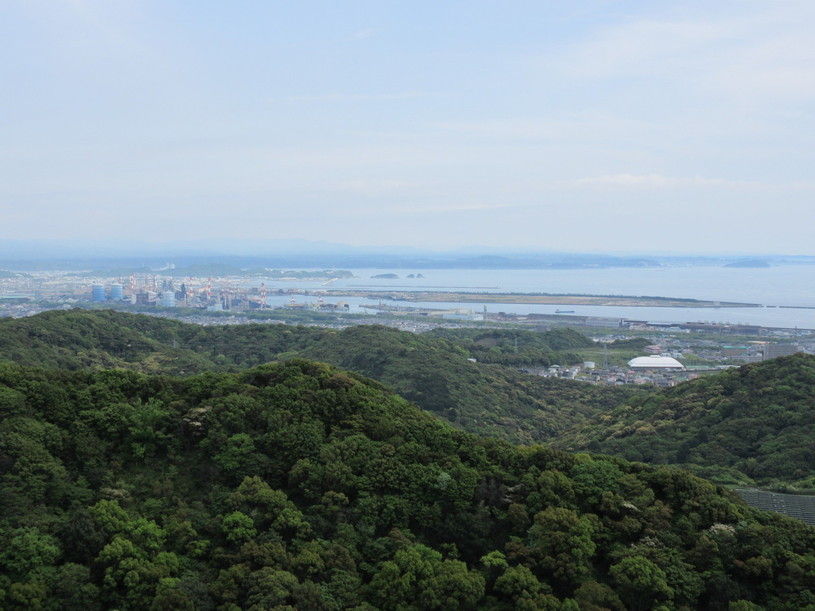 画像4