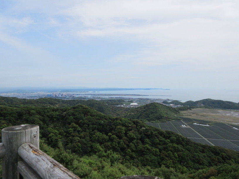 画像5