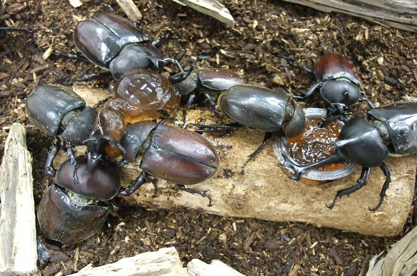 画像5