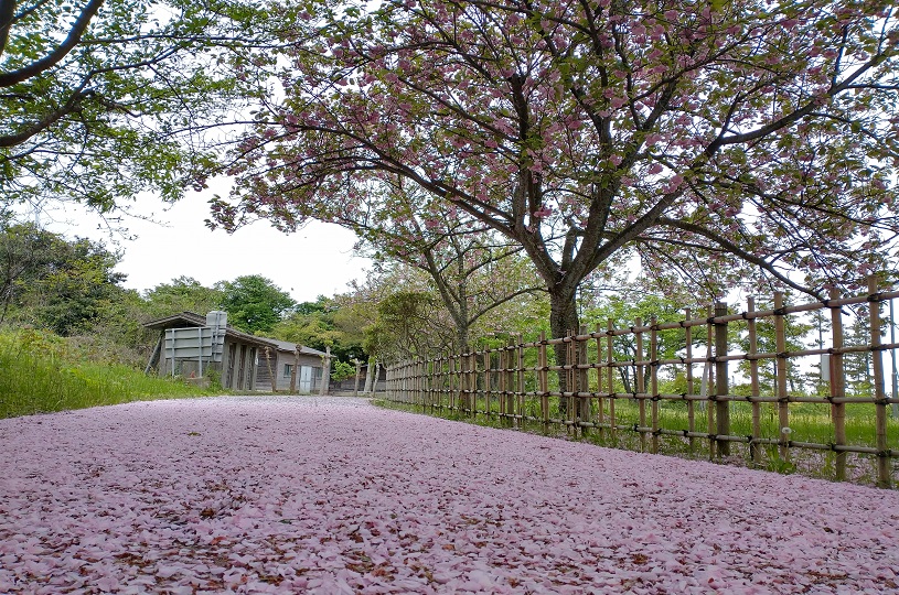 画像4