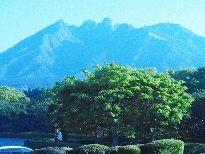 画像2