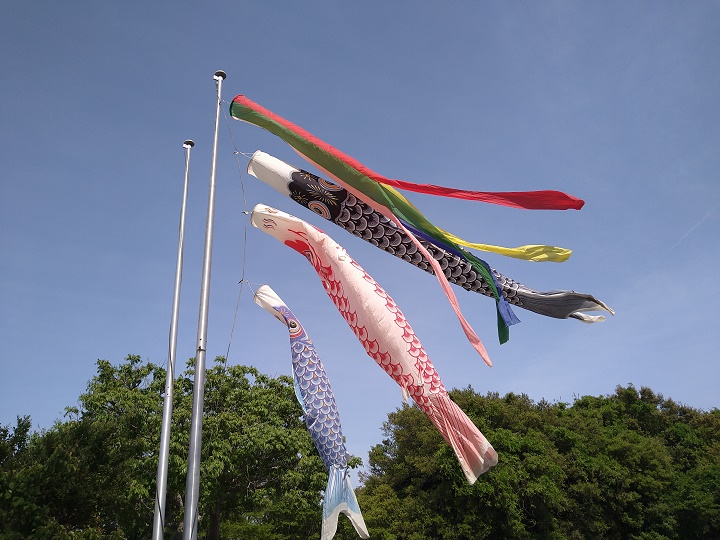 画像1