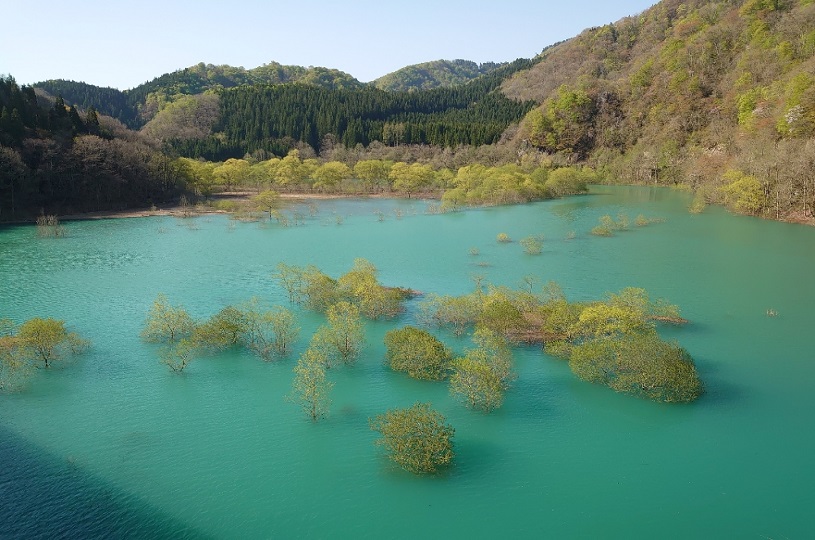 画像2