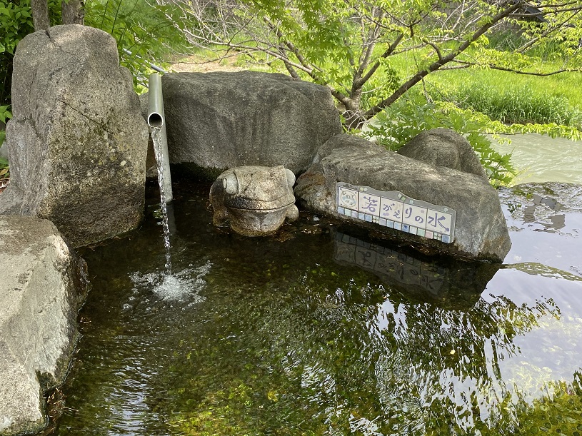 画像4