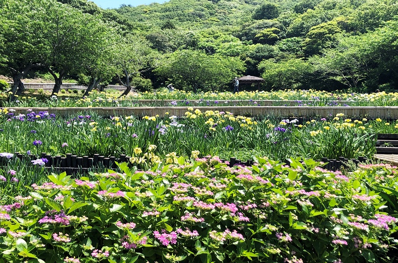画像2
