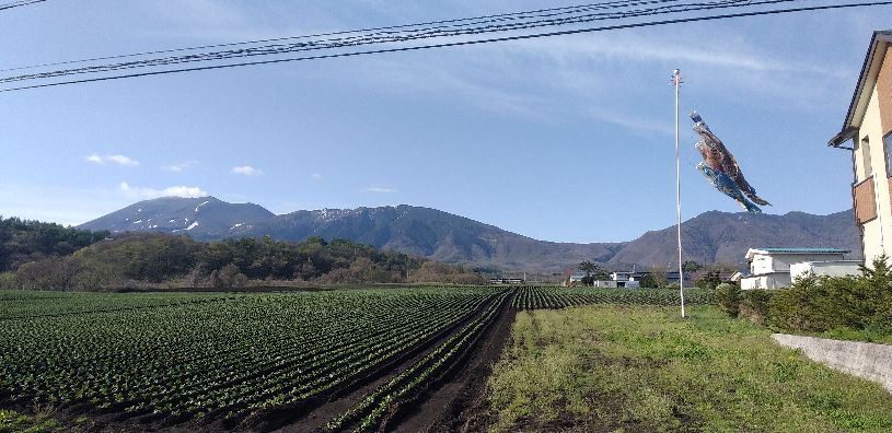 画像5