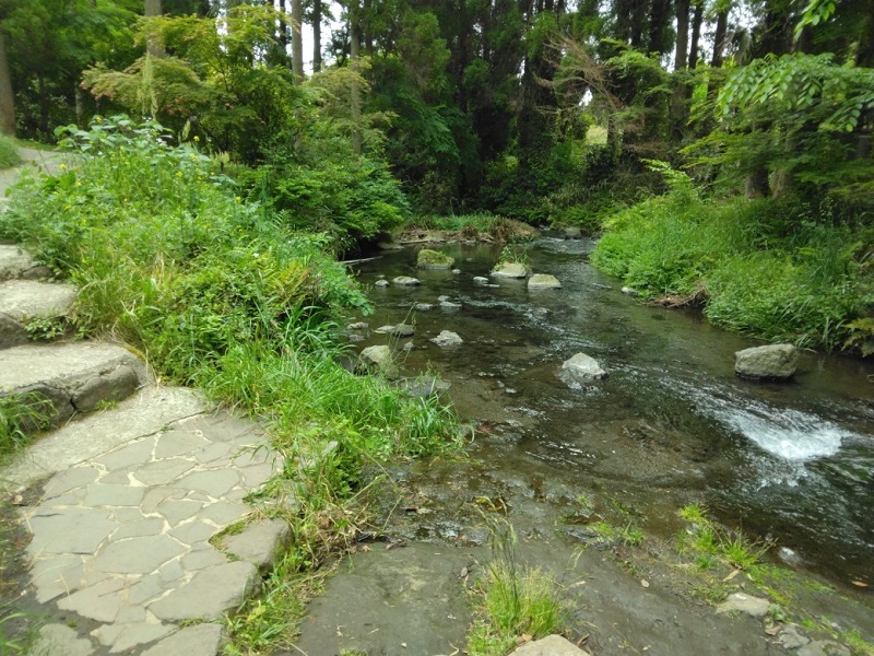 画像4
