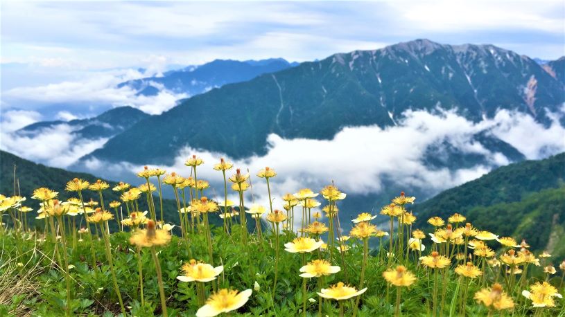爺ヶ岳