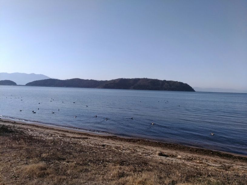 画像2