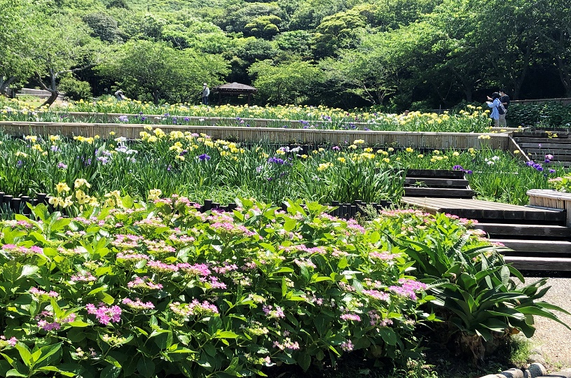 画像3