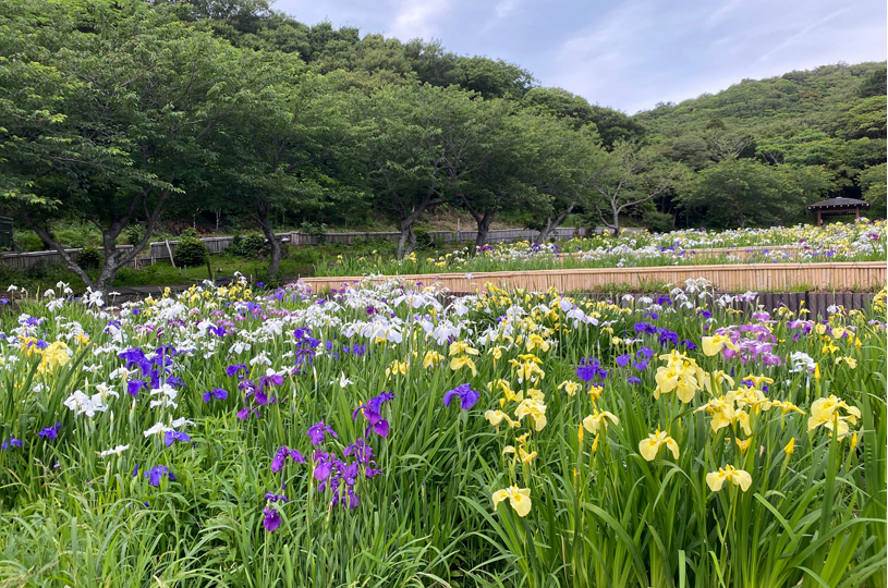 画像2