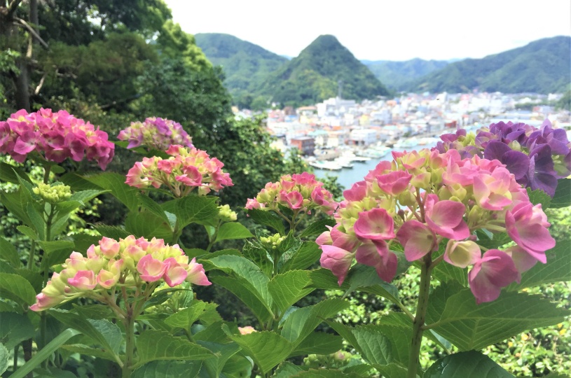 画像4