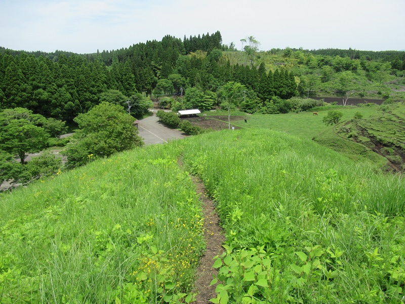 画像4