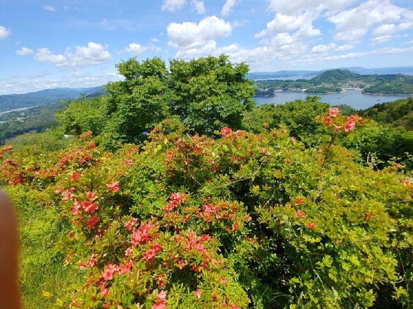 画像4