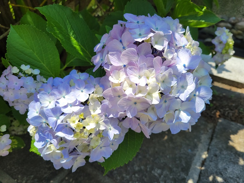 画像2