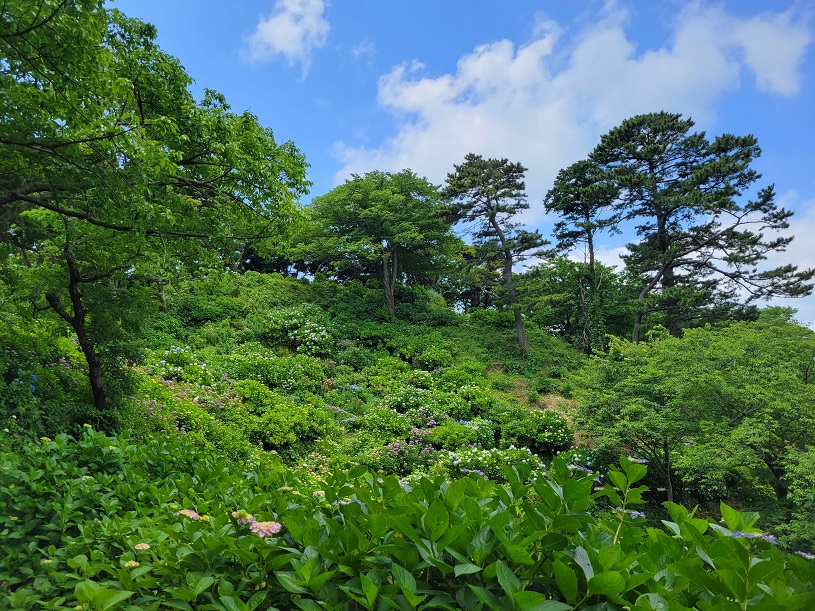 画像2