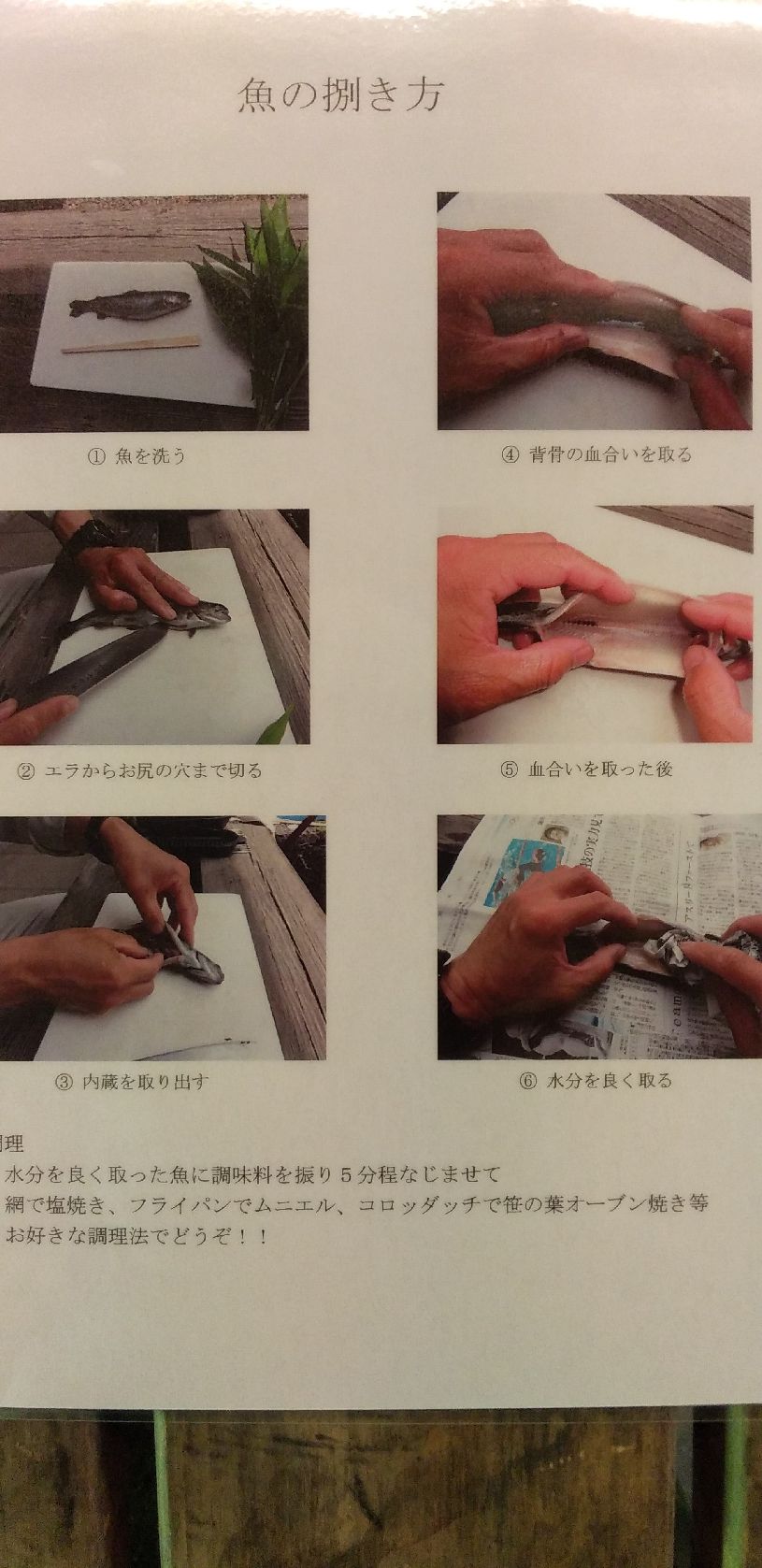 画像5