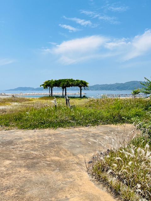 画像1