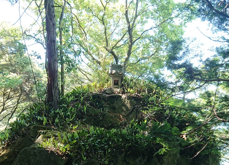 画像3