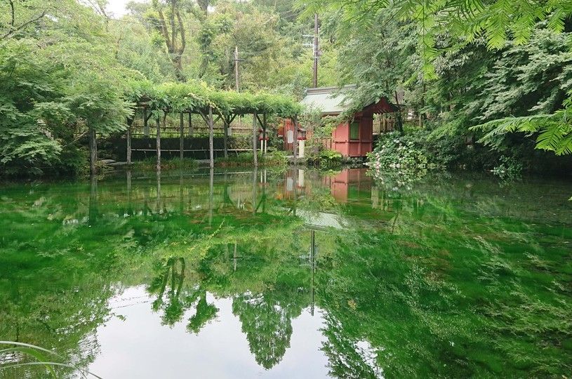画像1