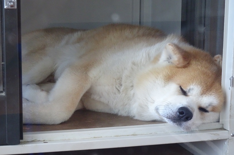 画像1