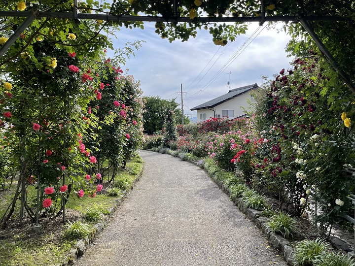画像1